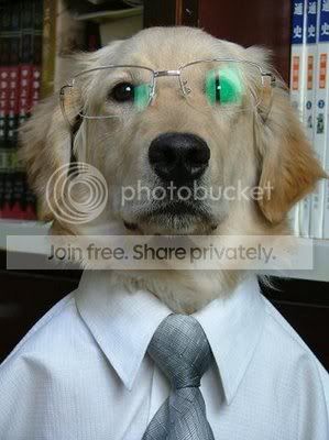 doggy02.jpg