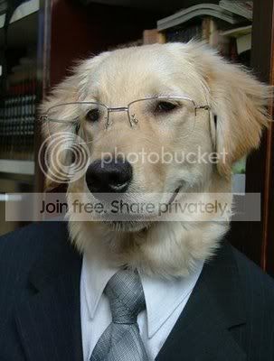 doggy03.jpg