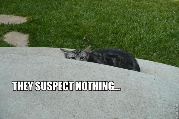suspects nothing