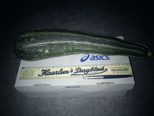DSC00510.jpg