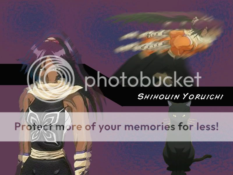 http://i111.photobucket.com/albums/n154/anna_loves_yoh/bleach/Shihouin%20Yoruichi/1136742748_yoruichi.jpg