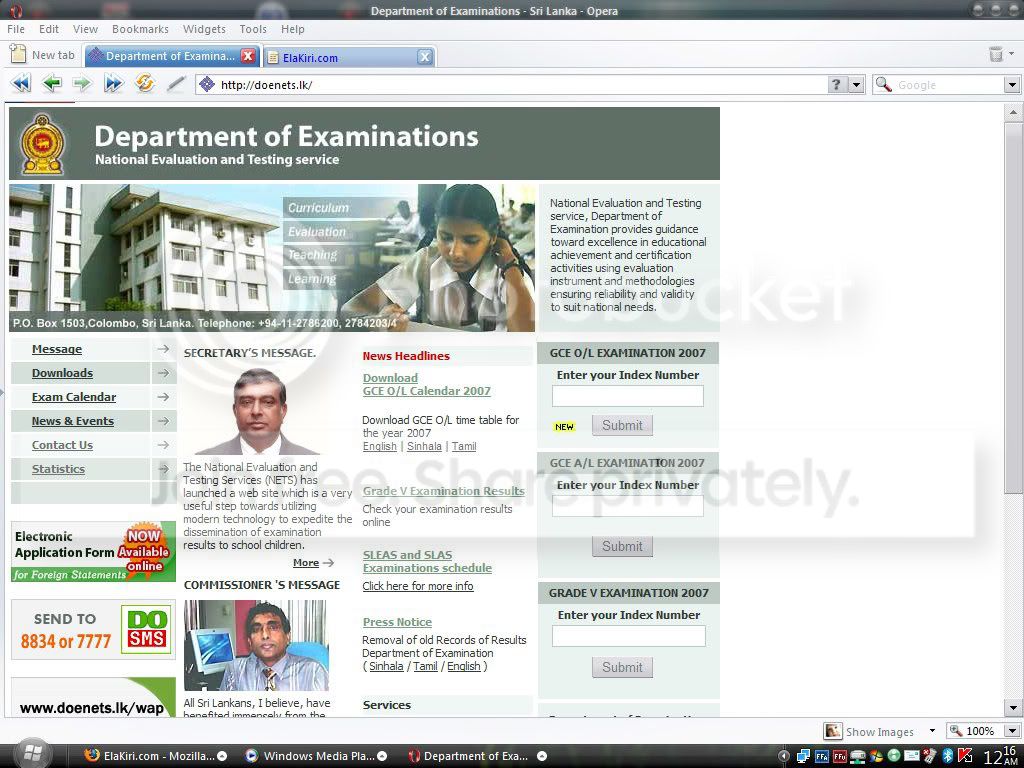 sshot-149copy.jpg